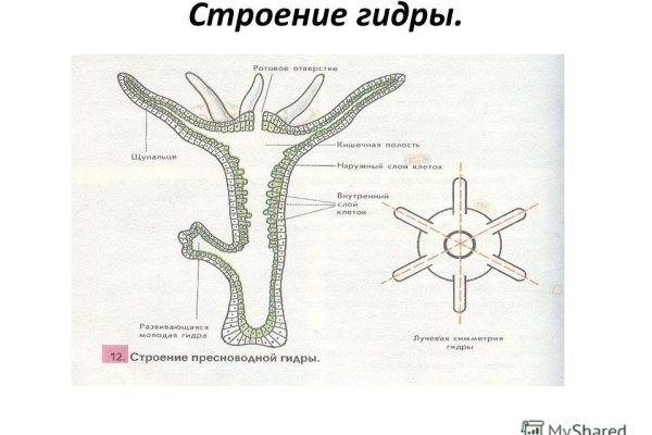 Кто такой модератор на блэкспрут