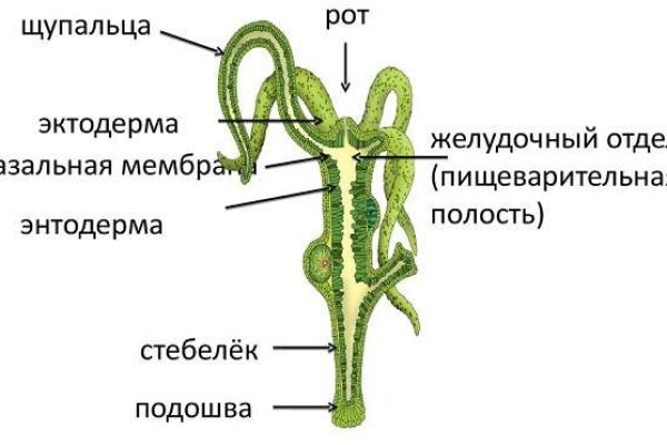 Как загрузить фото на кракен