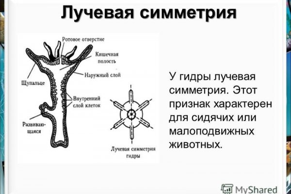 BlackSprutruzxpnew4af union зеркала