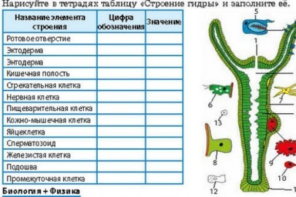 Кракен тор ссылка сайт 2krn.cc